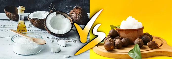 which-is-harder-shea-butter-or-coconut-oil