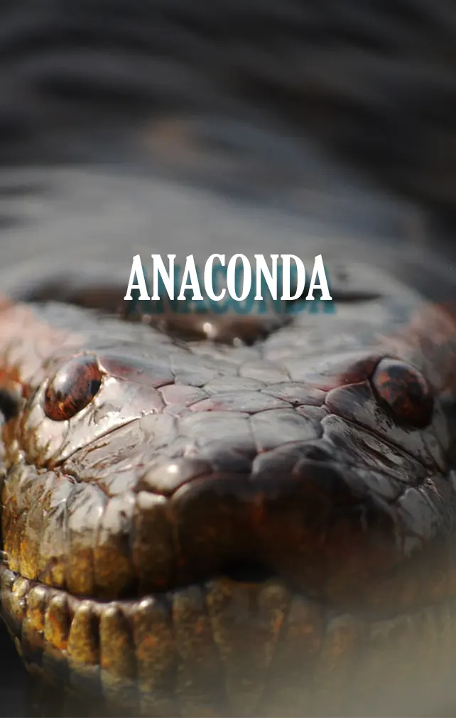 largest animals anaconda