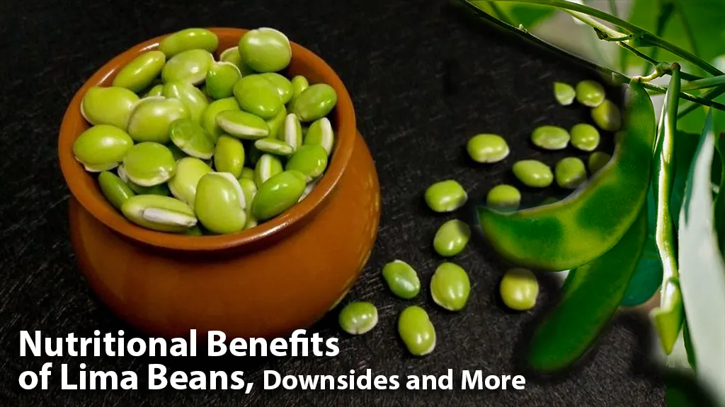 Nutritional Benefits of Lima Beans