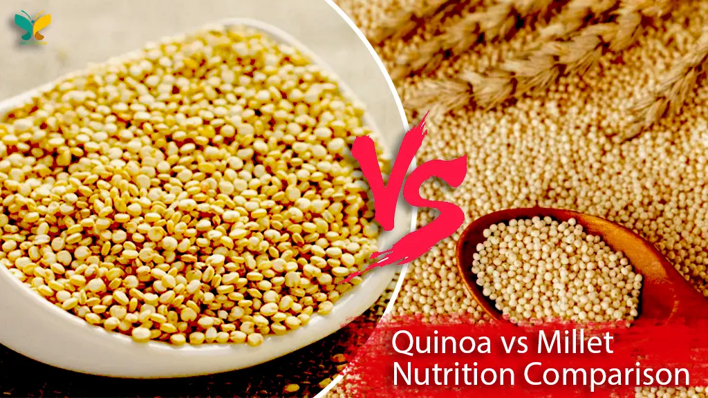 Quinoa vs Millet