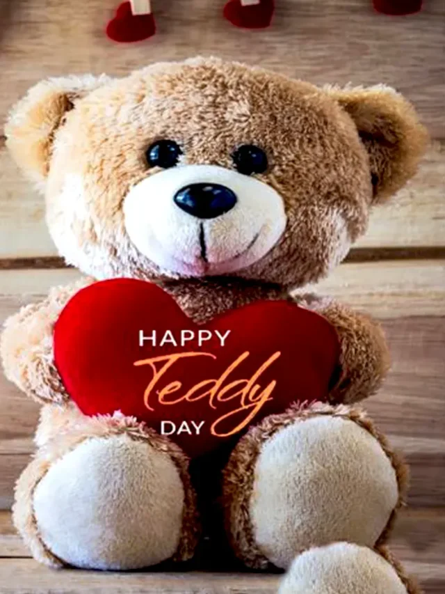 Happy Valentines Day Teddy Bear